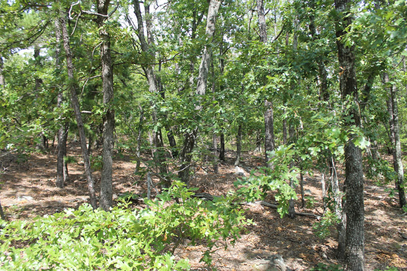Tract 13 at Trophy Ridge Phase III in Pushmataha County, Oklahoma