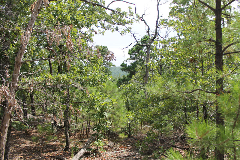 Tract 14 at Trophy Ridge Phase III in Pushmataha County, Oklahoma