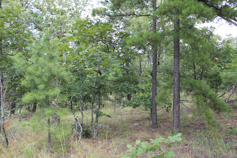 Tract 16 at Trophy Ridge Phase III in Pushmataha County, Oklahoma