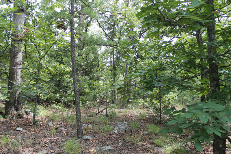 Tract 18 at Trophy Ridge Phase III in Pushmataha County, Oklahoma