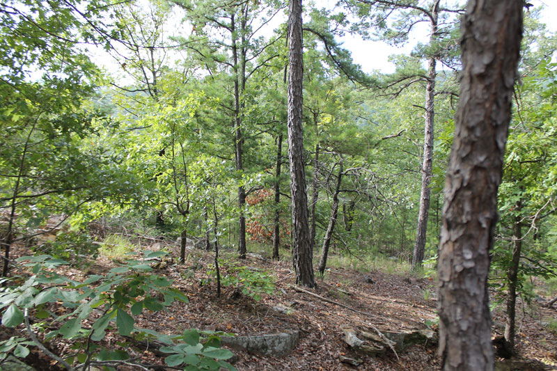 Tract 2 at Trophy Ridge Phase III in Pushmataha County, Oklahoma