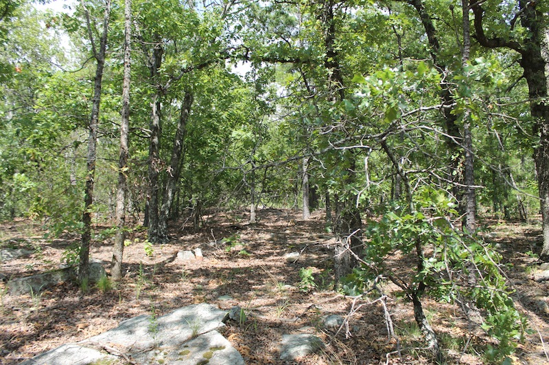 Tract 20 at Trophy Ridge Phase III in Pushmataha County, Oklahoma