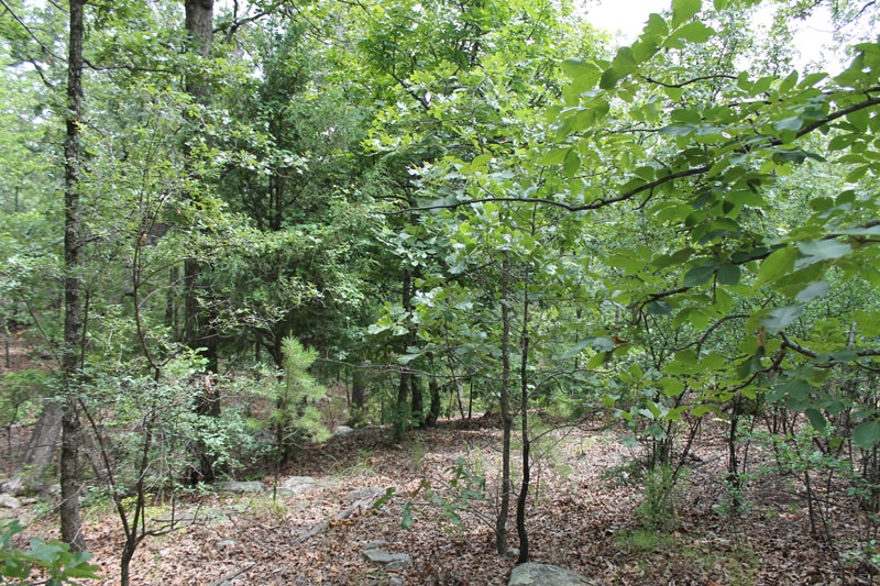Tract 22 at Trophy Ridge Phase III in Pushmataha County, Oklahoma