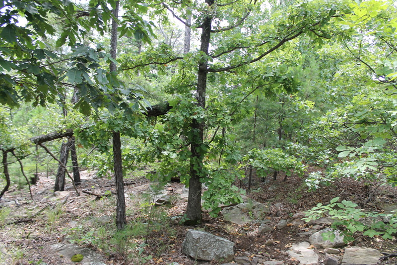Tract 23 at Trophy Ridge Phase III in Pushmataha County, Oklahoma