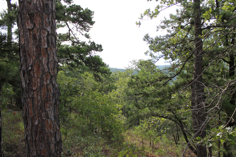 Tract 25 at Trophy Ridge Phase III in Pushmataha County, Oklahoma
