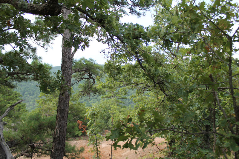 Tract 27 at Trophy Ridge Phase III in Pushmataha County, Oklahoma