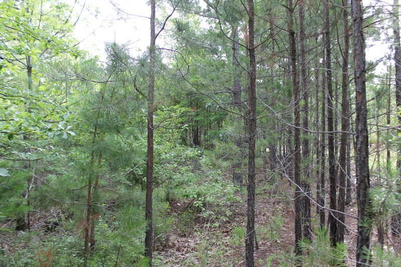 Tract 3 at Trophy Ridge Phase III in Pushmataha County, Oklahoma