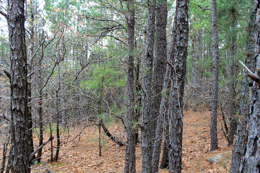 Tract 38 at Trophy Ridge Phase III in Pushmataha County, Oklahoma
