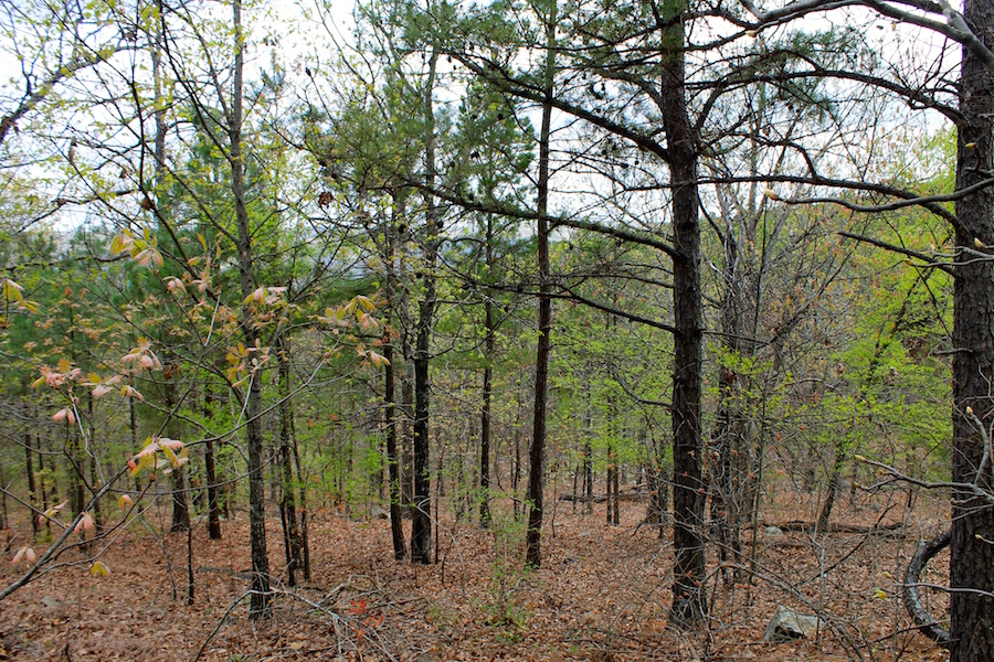 Tract 40 at Trophy Ridge Phase III in Pushmataha County, Oklahoma
