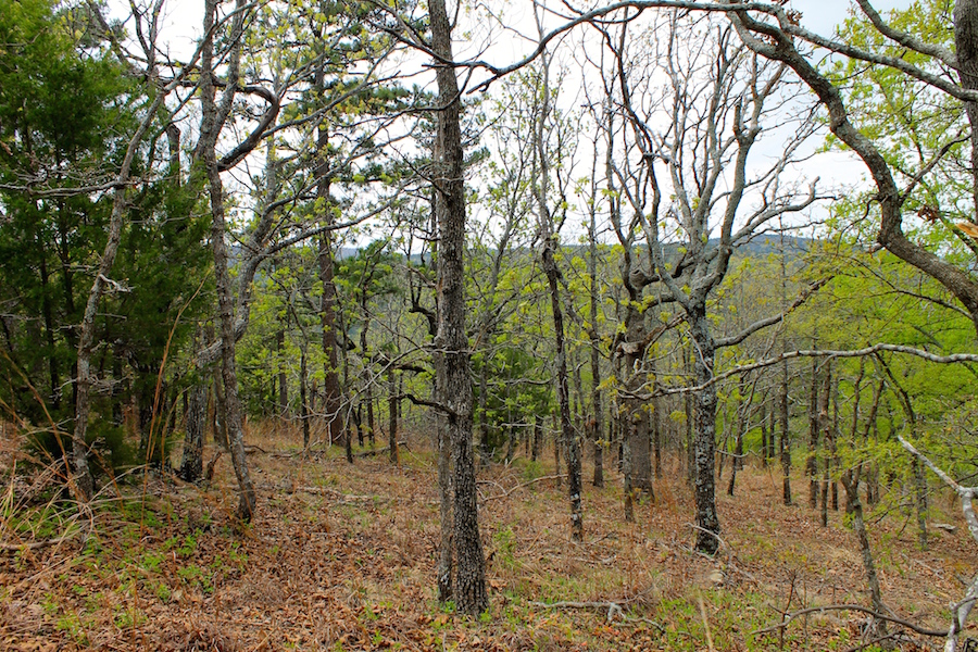 Tract 41 at Trophy Ridge Phase III in Pushmataha County, Oklahoma