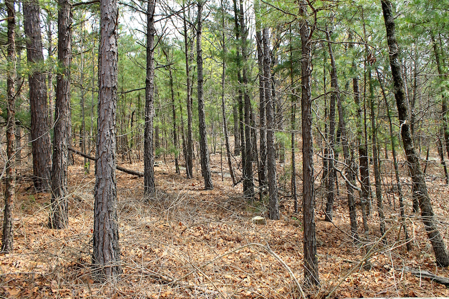 Tract 42 at Trophy Ridge Phase III in Pushmataha County, Oklahoma