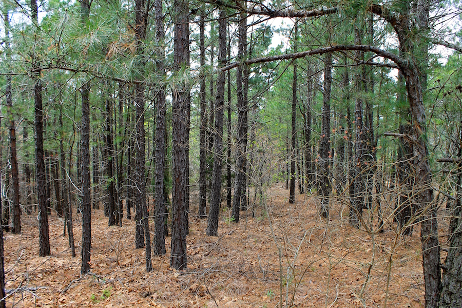 Tract 43 at Trophy Ridge Phase III in Pushmataha County, Oklahoma