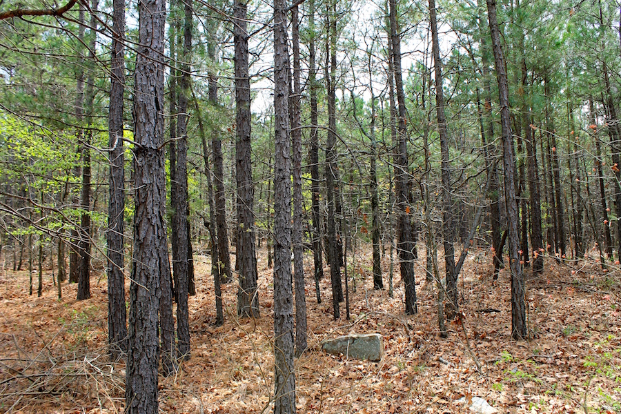 Tract 44 at Trophy Ridge Phase III in Pushmataha County, Oklahoma