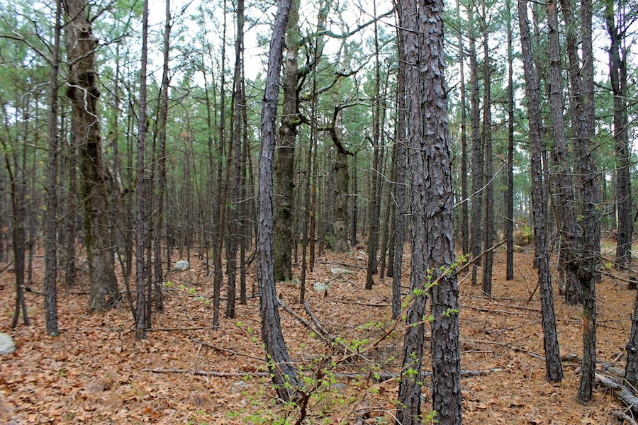 Tract 47 at Trophy Ridge Phase III in Pushmataha County, Oklahoma