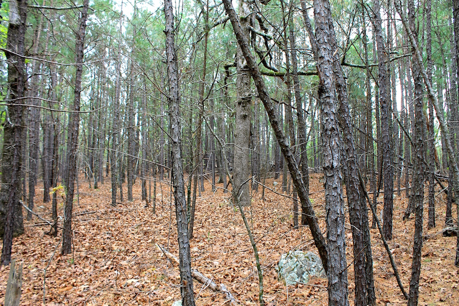 Tract 48 at Trophy Ridge Phase III in Pushmataha County, Oklahoma