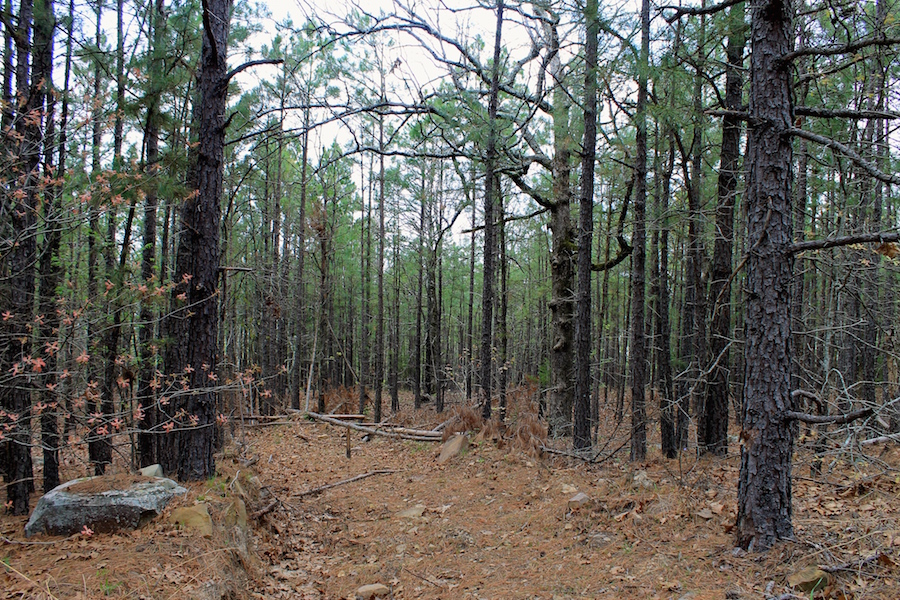 Tract 49 at Trophy Ridge Phase III in Pushmataha County, Oklahoma