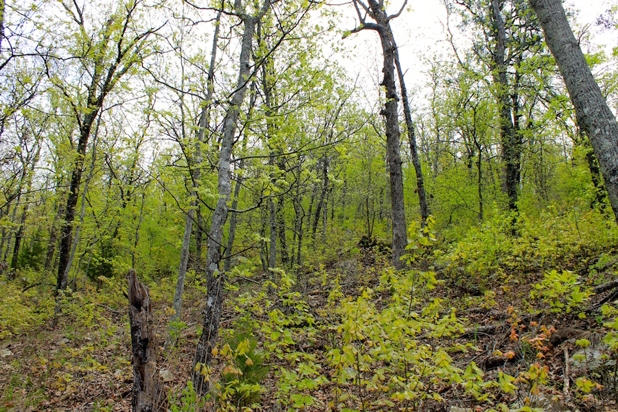 Tract 52 at Trophy Ridge Phase III in Pushmataha County, Oklahoma