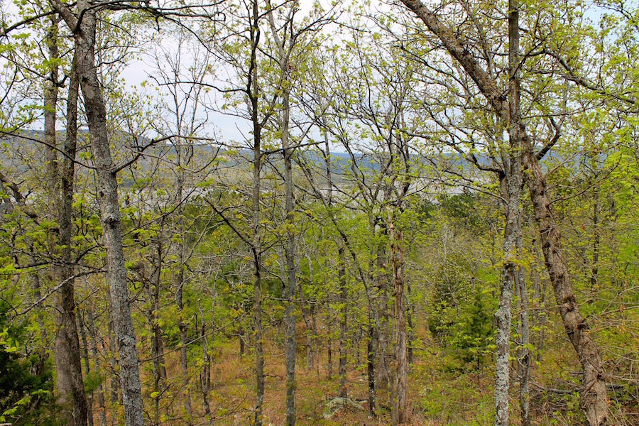 Tract 53 at Trophy Ridge Phase III in Pushmataha County, Oklahoma