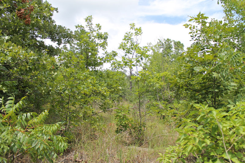 Tract 8 at Trophy Ridge Phase III in Pushmataha County, Oklahoma