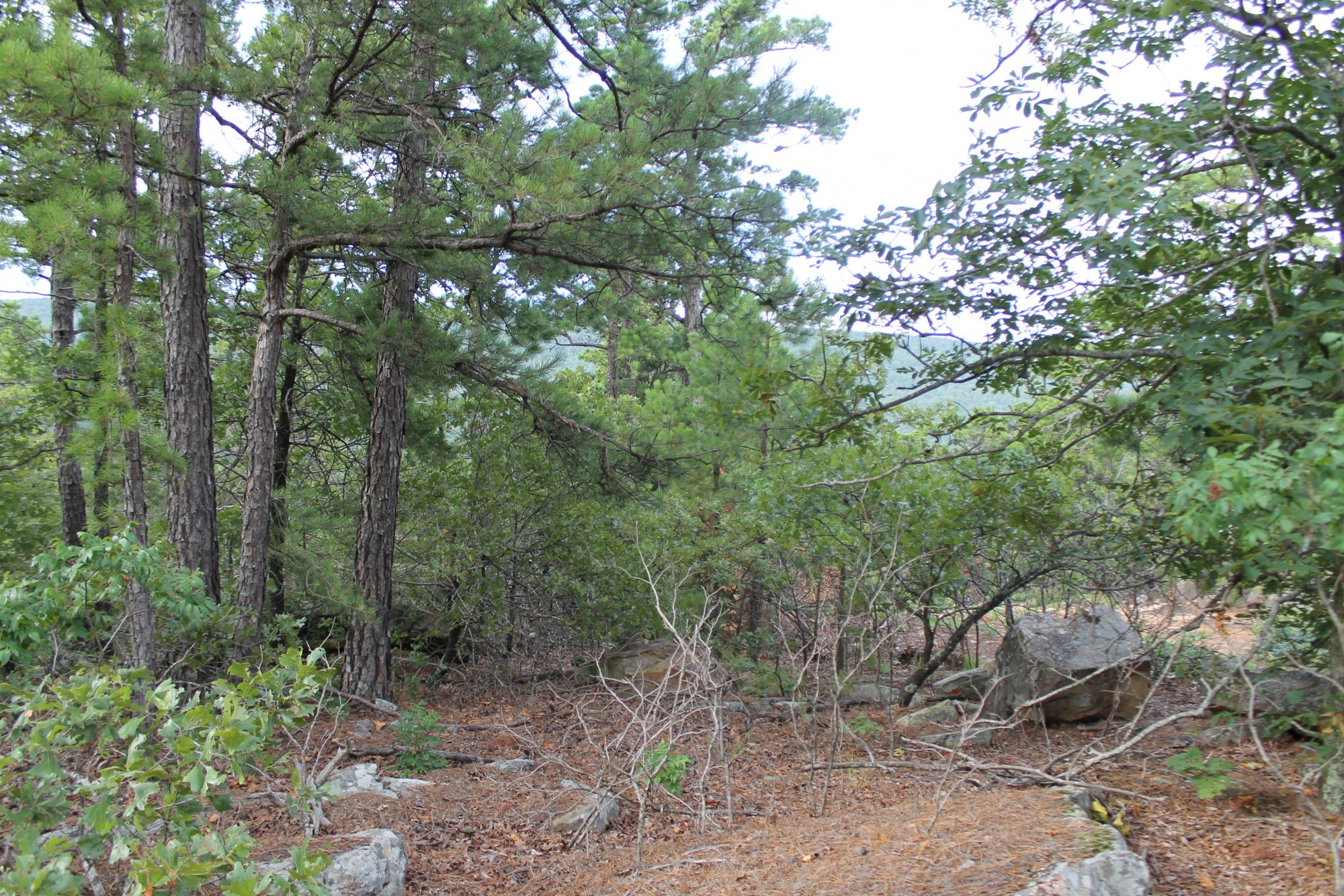 Tract 9 at Trophy Ridge Phase III in Pushmataha County, Oklahoma